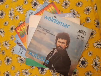 SP deska ružné druhy výběr dle foto 2