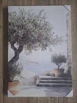 Zátiší s olivovníkem 35x50cm