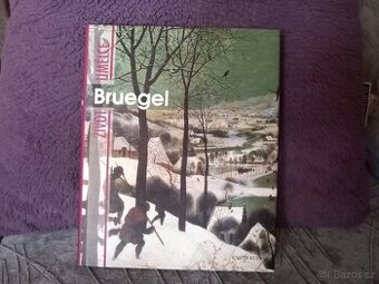 Bruegel život umělce