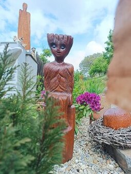 Dubový Groot - 1