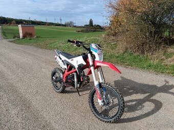 Pitbike Thunder 125 🏍️