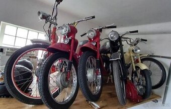 Veterani