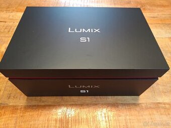 Panasonic Lumix S1 + 24/105mm