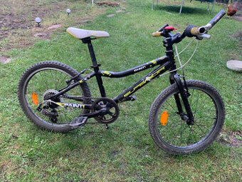 Dětské kolo Superior Paint 20”