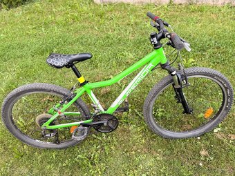 Superior 24” -Panda