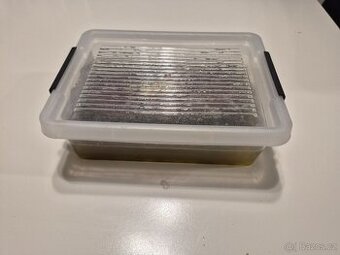 Auloforus - živé krmivo