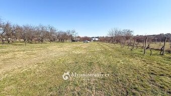 Prodej zahrady 1 465 m², Suchohrdly u Znojma, ev.č. IL26015