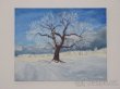Obraz - Zimní strom