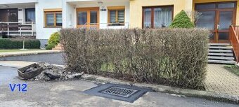 Dělník - instalace kanalizačních poklopů a vpustí