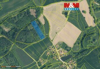 Prodej lesa, 9634 m², Hrazany