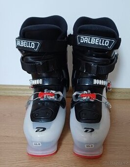 Sjezdové boty / lyžáky 39 (25cm)