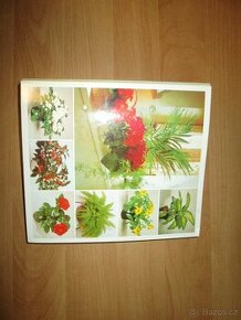 Pokojové rostliny od A do Z (35 karet)