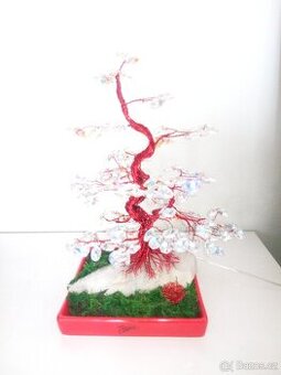 Bonsai