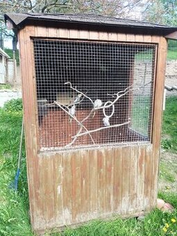 Voliera