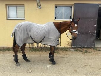 Síťovaná deka HKM proti hmyzu