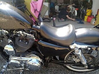 Sedlo LePera sportster