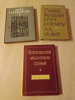 Česká literatura první poloviny XX století