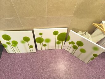 Troj - obraz ( sada )