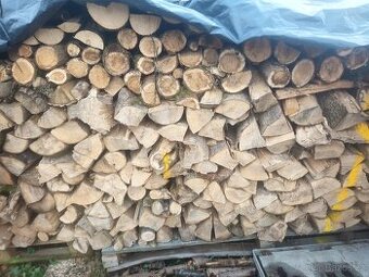 Palivové dřevo jasan