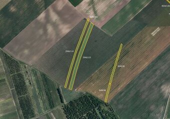 Zemědělská půda, prodej, Nový Poddvorov, Hodonín