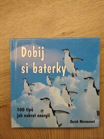 Kniha "Dobij si baterky - 100 tipů jak nabrat energii" - nov - 1