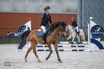 PONY ČSP kat. B -  140 cm