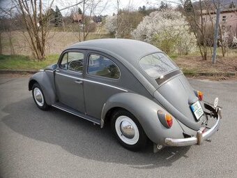 Vw brouk 1964