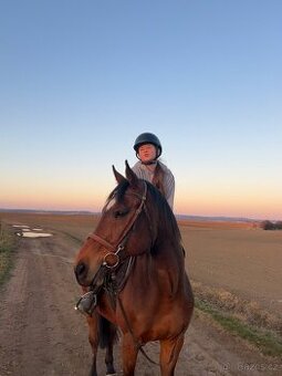 Hledam pronajem kone (plzen)