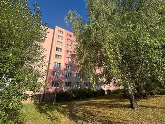 Plzeň-Skvrňany, pronájem bytu 1+1. - 1