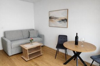 Pronájem bytu 1+kk v Brně