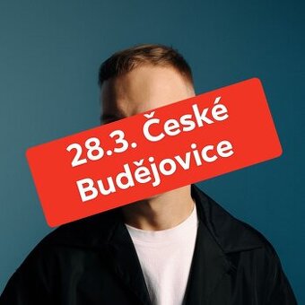 Obrázek k inzerátu: Prodám 1 lístek na Viktora Sheena - 28.3. České Budějovice