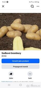 Prodej sadbových brambor