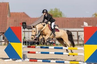 Sportovní pony klisna