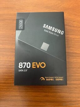 Samsung 870 EVO SATA 2.5” 250GB