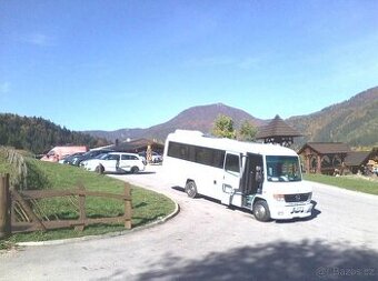 Mercedes Benz - VARIO 0814D