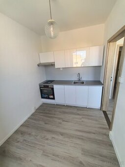 Prodej družstevního bytu 1+1, Český Těšín