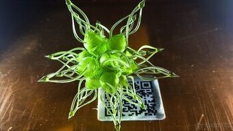 👉 3D tisk z resinu – modely na přání