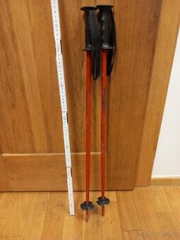 Lyžařské hůlky 70 cm