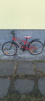 Author Energy červené