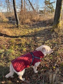 Nový obleček vyteplený 55 cm