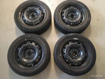 Plecháče se zimním pneu a poklice