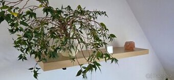 Osvětlená nástěnná police LACK