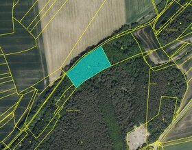 Lesní pozemek Žerotín u Panenského Týnce, 6.724 m²