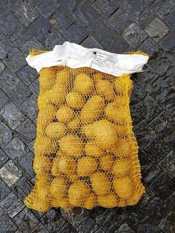 Brambory, sadbové brambory, brambory 5 kg, máme až 0,5 t