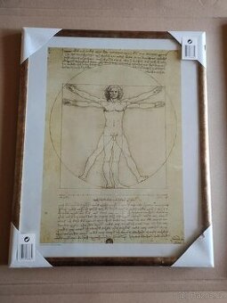 Obraz na zeď - Vitruviánský muž, Leonardo Da Vinci - nový