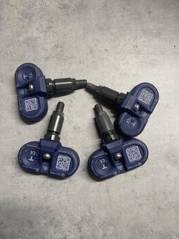 Tesla TPMS