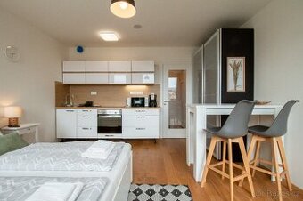 krásný byt 1+KK, 25m2 v ul. Perucká, Praha 2 - Vinohrady