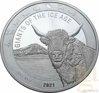 Stříbrné investiční mince 1kg