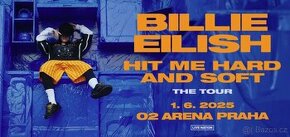 Prodám lístek na stání na Billie Eilish