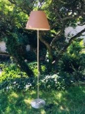 Lampa hnědá - 1